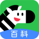 扎巴尔尼告别伯恩茅斯：感谢支持过我的每一个人，祝球队取得成功